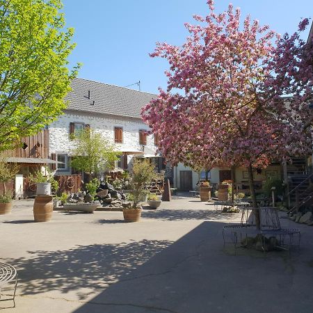 Besondere Ferienwohnung Spirit Auf Idyllischem Reiterhof Nahe Burg Eltz Münstermaifeld Exterior foto