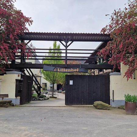 Besondere Ferienwohnung Spirit Auf Idyllischem Reiterhof Nahe Burg Eltz Münstermaifeld Exterior foto