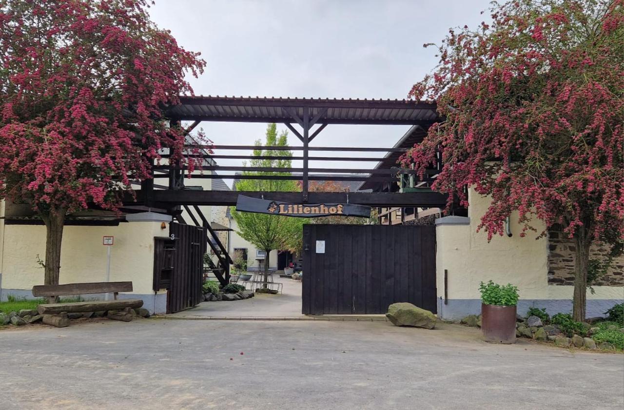 Besondere Ferienwohnung Spirit Auf Idyllischem Reiterhof Nahe Burg Eltz Münstermaifeld Exterior foto